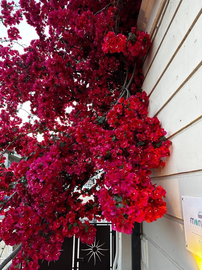 טרצ'ינה Mariviva Guest House מראה חיצוני תמונה